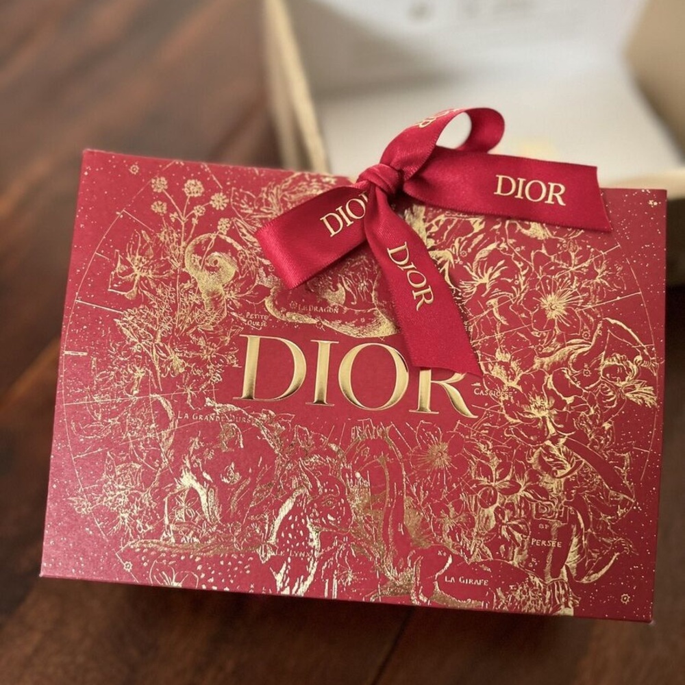 Authentic Christian Dior Shopping Bag Paper Bag Gift Bag  Holiday Edition